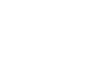 IVY • Official Website